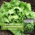 Packet (1) Sow Right Seeds - Buttercrunch Lettuce Seeds for Planting - Non-GMO Heirloom with Instructions to Plant a