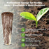 166PCS 600ml 40 40 40 40 1 Ahopegarden Hydroponic Pods Herb Kit: Grow Anything Kit With A&B Plant Food, Grow Sponges