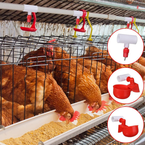Outus 50 Pack Chicken Waterer PVC Tee Fittings, Fully Automatic Poultry Waterer PVC Fittings for Threaded Chicken Water