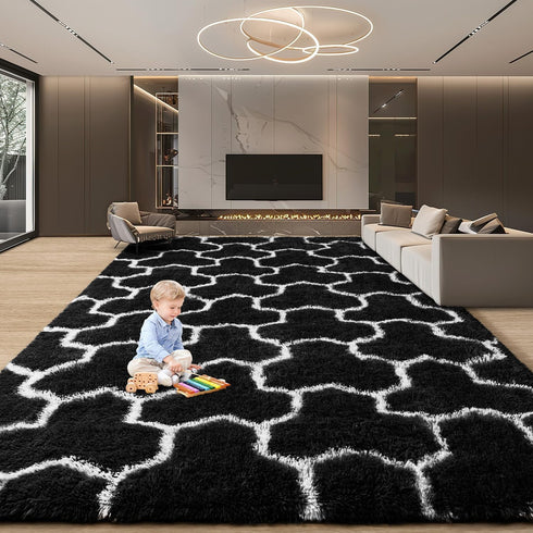 5x8 EVOIONOS Washable Large Area Rug Living Room, Fluffy Shag Rug Bedroom Ultra Soft Plush Non Slip Carpet Indoor Floor