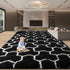 5x8 EVOIONOS Washable Large Area Rug Living Room, Fluffy Shag Rug Bedroom Ultra Soft Plush Non Slip Carpet Indoor Floor