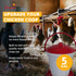 5 Stromberg's Gallon Bucket Waterer for Chicken Coops, Easy to Fill, Durable, Separate Legs for Elevation, Reduces