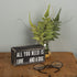 Primitives by Kathy Rustic Wooden Decor Sign - 'All you need is love...and dog', 5" Dog Lovers Gift