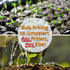 2 Packet ~1,000 Kitazawa Seed Company Egyptian Spinach Seeds - Molokhia, Jew's Mallow, Jute Mallow, Corchorus olitorius