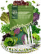 23 Lettuce & Salad Greens Seeds Variety Pack - 25,000+ Non-GMO Heirloom