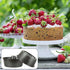 Non-Stick Angel Food Cake Pan, 10 inch Heavy Duty Dark Grey Aluminum