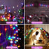 GlowNest 19.7ft LED Globe String Lights - USB Color Changing Twinkle Lights with Remote for Indoor, Classroom