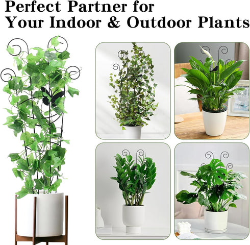 4 Pack 30 Inch,Rustproof ZOUTOG Trellis for Climbing Plants Indoor Metal Garden Trellis for Potted Plants,Houseplant