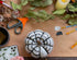 Elanze Designs Classic White Decorative Pumpkins Pack of 2, 6 Inch Resin Harvest
