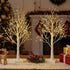 AOLTNRC 2 Pack 144 2FT Lighted Trees for Indoor Decor with Timer, LED White Light up Birch Tree Tabletop Lamp