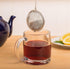 HIC Kitchen Mesh Ball Tea Infuser, 2.5-Inch, 18/8 Stainless Steel, For Loose Leaf Tea