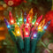 Hopolon Easter Mini String Lights, 2 Pack 23ft 100L Christmas Lights, 120V