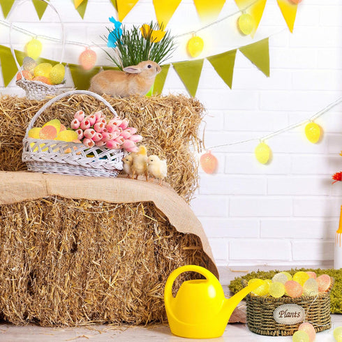 5.94ft 10 LYHOPE Easter Pastel Lights, LED Egg Decoration Lights, Battery Powered Egg String Lights for Easter, Party