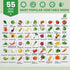 55 Pack 39,000+ (55 Vegetable Seeds Variety - Heirloom Seeds for Planting Vegetables and Fruits, Non-GMO Garden Seeds