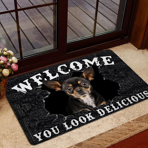 You Look Delicious Door Mat, 16x24 Inch, Non-Slip Rubber Welcome Doormat for Indoor Outdoor Entrance Floor