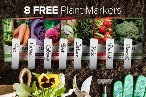 8 Gardeners Basics Winter, Fall, and Spring Vegetable Seeds for Planting | Cool Weather Crops | Varieties: Sugar Snap
