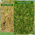 3' 5' 0.8 Inch AYOHA Artificial Turf Grass x with Drainage, Realistic Fake Grass Rug Indoor Outdoor Lawn Landscape