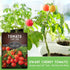 (1 Pack) Tiny Tim Tomato Seeds - Dwarf Cherry Tomatoes for Planting Indoors or Patio, Compact Heirloom Variety