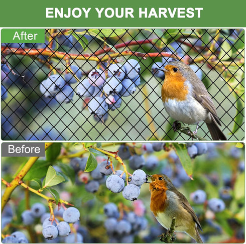 3/4' Bird Netting - Heavy Duty Nylon Net with Mesh for Garden Protection, Chicken Coop and Orchard