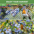 3/4' Bird Netting - Heavy Duty Nylon Net with Mesh for Garden Protection, Chicken Coop and Orchard