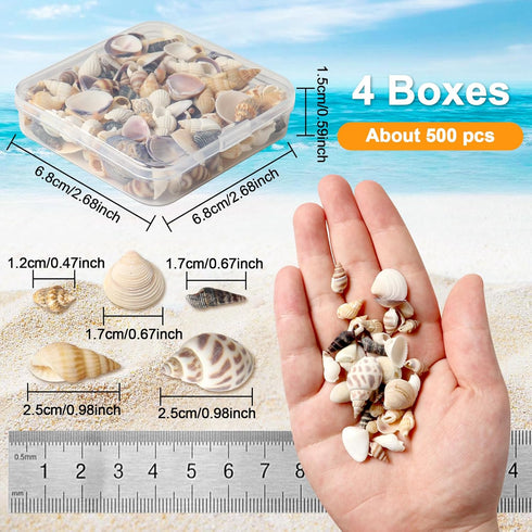 Ira Pollitt Tiny Natural Mixed Ocean Sea Shells, 500pcs, Tiny Miniature Beach Critter Seashells for Crafts, Home