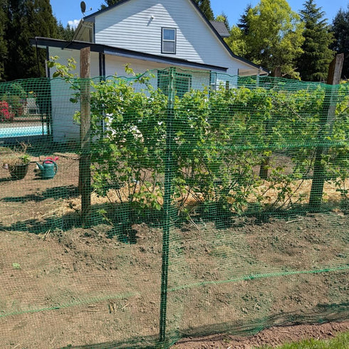 5x100 Plastic Garden Fence FT Deer Fence Netting, Temporary Mesh Fencing Animal Barrier for Deer, Chicken, Poultry