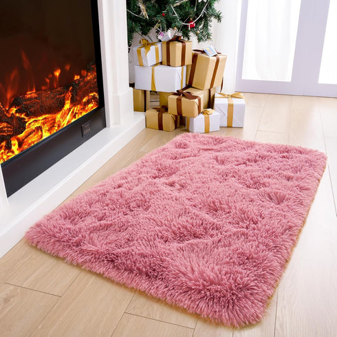 Entrance,2x3 Noahas Fluffy Blush Rugs for Bedroom Girls,Door Mat Indoor Shaggy Small Non-Slip Entryway Entry Area