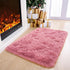 Entrance,2x3 Noahas Fluffy Blush Rugs for Bedroom Girls,Door Mat Indoor Shaggy Small Non-Slip Entryway Entry Area
