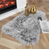 Ashler Faux Fur Rug, Fluffy Shaggy Area Rug Ultra Soft 2 x 3 Feet, Frosted Bottom Black Fuzzy Rug, Machine Washable