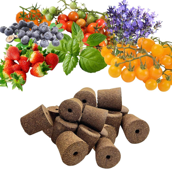 YDKYD 20pcs Grow Sponges, Seedless Replacement Seed Pods Compatible with Click and Grow
