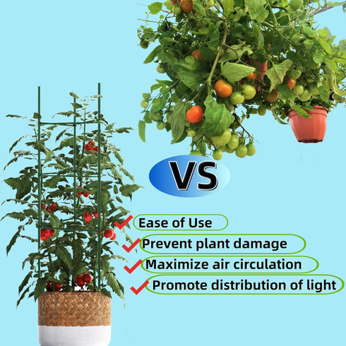 Caonysh 36PCS 11.8" 11mm Plant Stake Arms for Tomato CageExpandable Plant Supports Trellis Connector Clips for Garden