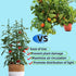 Caonysh 36PCS 11.8" 11mm Plant Stake Arms for Tomato CageExpandable Plant Supports Trellis Connector Clips for Garden