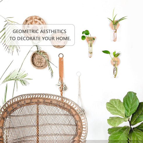 MITIME Wall Hanging Planter Glass Plant Propagation Station,Geometric Wooden Stand for Home Office Decoration.