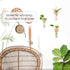 MITIME Wall Hanging Planter Glass Plant Propagation Station,Geometric Wooden Stand for Home Office Decoration.