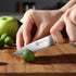 PAUDIN Paring Knife, 3.5 Inch High Carbon Stainless Steel, Ultra Sharp Small Kitchen Knife with Gift Box