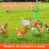 Set, 13 lb 2 Chicken Feeder and Waterer No Waste Automatic Chicken Feeder Bucket & Gallon Gravity Chicken Waterer