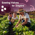 50 Packets, SVI Henderson Lima Bean Seeds (Phaseolus lunatus) Bush Baby Lima Beans Seed Green Beans Heirloom Vegetable