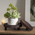 3 6/8/10" Counter Pcs Wood Plant Stand Indoor Outdoor, Round Wood Riser for Decor Wooden Stool Display Stand Flower Pot