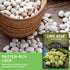(5 Packs) Lima Bean Seeds for Planting Henderson Butter Bean Seeds for Gardens & Classroom Science Projects, Easy