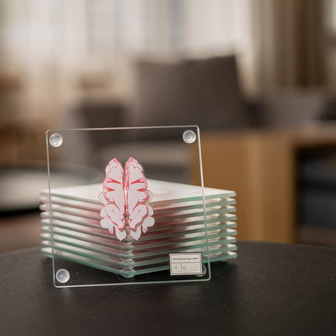 Anatomic Brain Specimen Coasters, Set of 10, Neuroscience Gifts for Medical Students