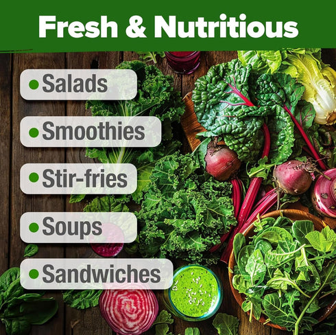 11,500+ 10 HOME GROWN Heirloom Lettuce Seeds - Varieties Including Romaine, Buttercrunch, Iceberg, Kale & Spinach