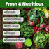 11,500+ 10 HOME GROWN Heirloom Lettuce Seeds - Varieties Including Romaine, Buttercrunch, Iceberg, Kale & Spinach