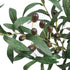 SHACOS 4 PCS 28 inch Artificial Olive Branches - Faux Tree Branches for Home Wedding Shop Office Garden Decor