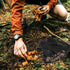 Qchengsan Foldable Mesh Harvest Basket for Fruits and Mushrooms