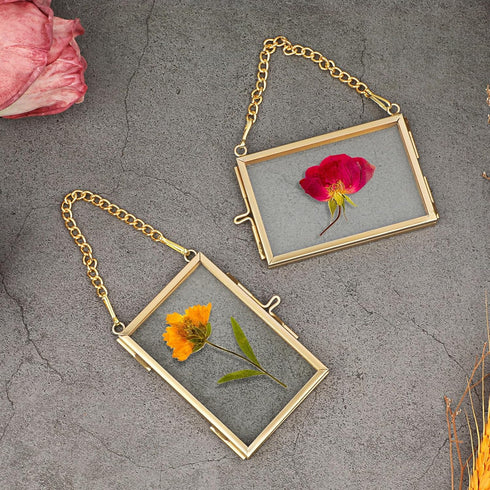 JUXYES Mini Brass Wall Hanging Photo Frame Set of 4, Double Glass Floating Frame for Artwork, Picture, Pressed Flower,