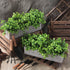 2 Pack (White,16 Lyrow Artificial Eucalyptus Plants in Rectangular Rustic Wooden Planter Box Faux Potted Herb Plant