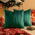 Top Finel Emerald Green Christmas Decorative Throw Pillow Covers, 20 X 20 Inch, Soft Velvet Cushion Case (Pack of 2)