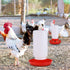 2 Packs 1L 1L Chick Feeder and Waterer Kit Chick Feeder and Chick Waterer Chicken Feeder and Hanging Chicken Waterer