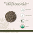 4 oz Starwest Botanicals Organic Vervain Herb - Dried Loose Leaf Herb for Tea & Herbal Blends, Cut & Sifted, Certified