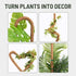 imezos 2 Pack 30 Inch Moss Pole for Plants, Moss Poles for Climbing Plants Monstera, Handmade Coco Coir Plant Pole